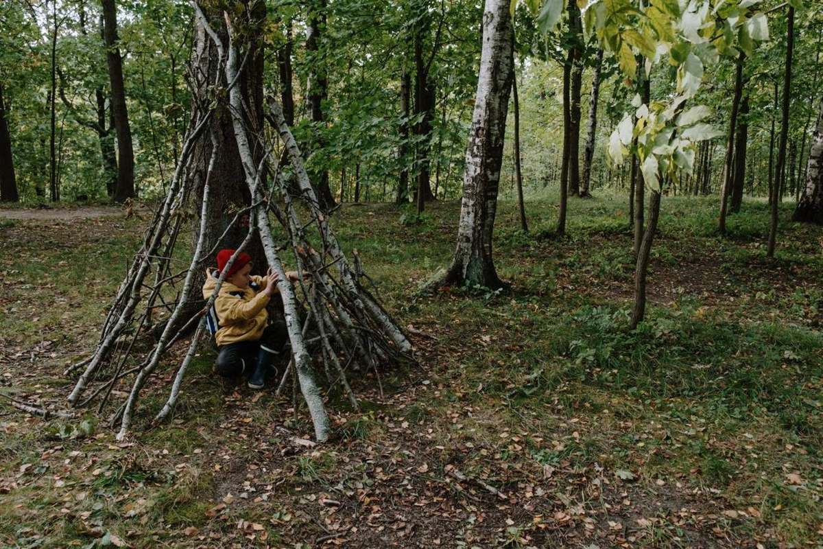 Refugio construido con ramas en el bosque