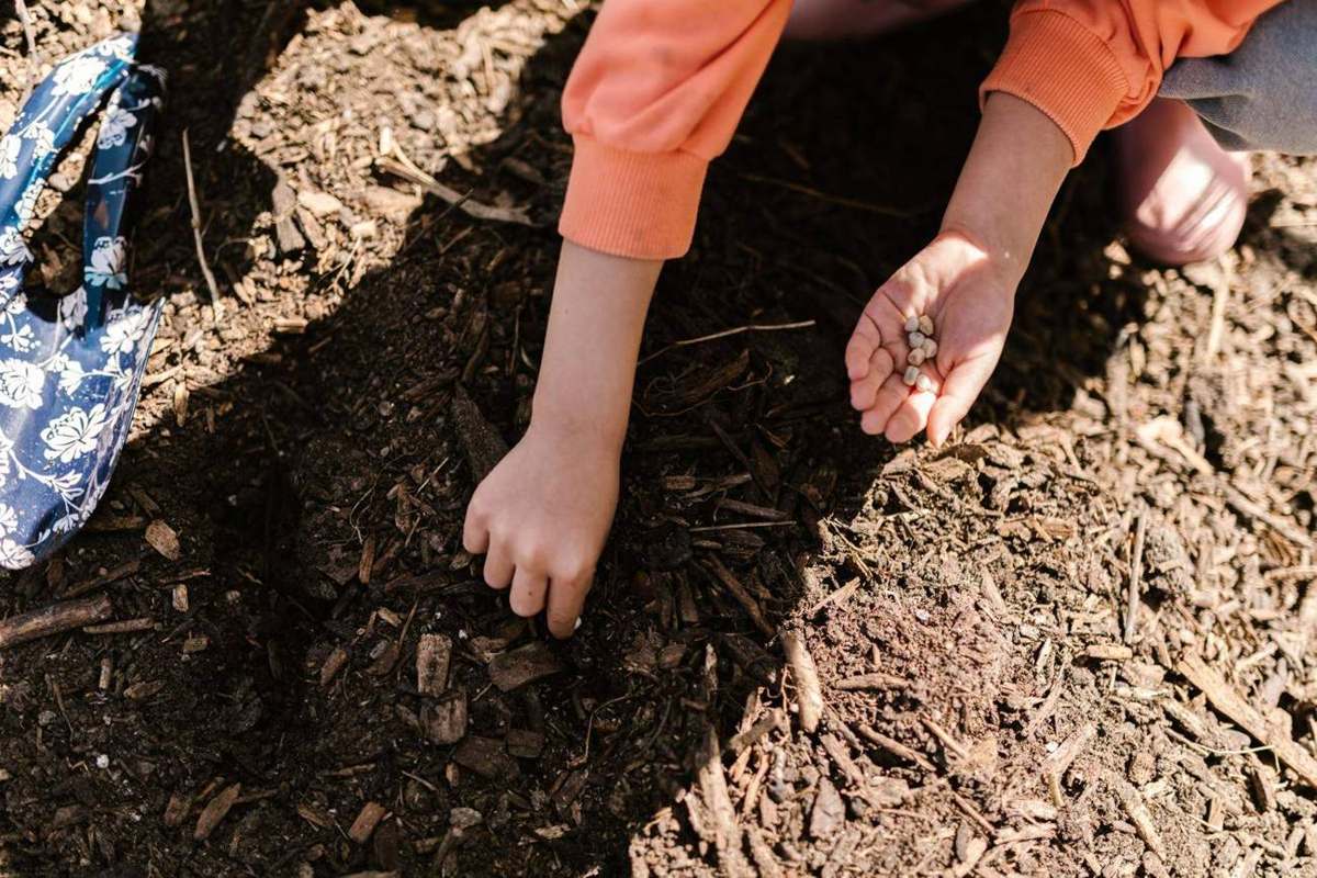 Manos de niños explorando la tierra del bosque